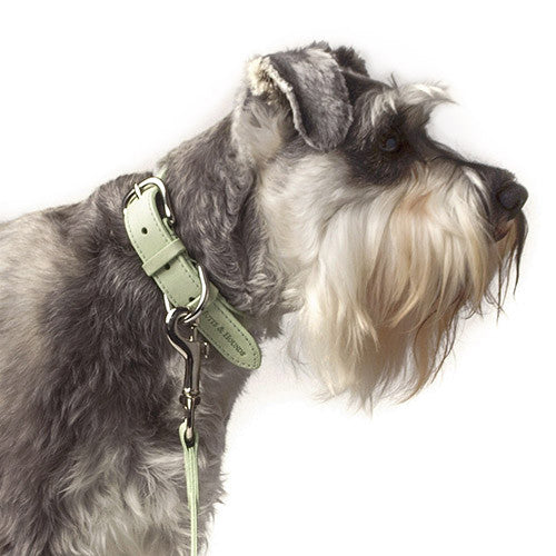 Leather Dog Collar (Sage)
