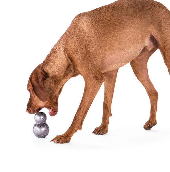 Orbee-Tuff® Diamond Double Plate Ball Dog Toy (Steel)