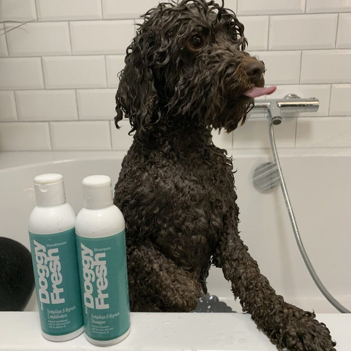 Doggy Fresh White Wash Shampoo (200ml)
