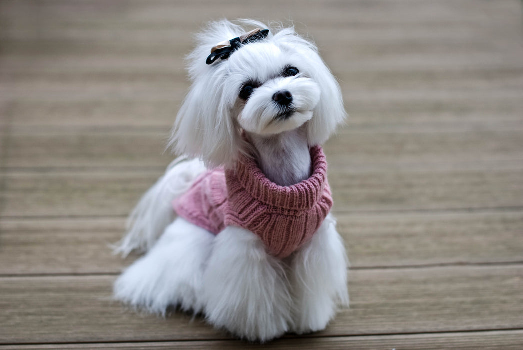 Aspen Dog Sweater (Pink)
