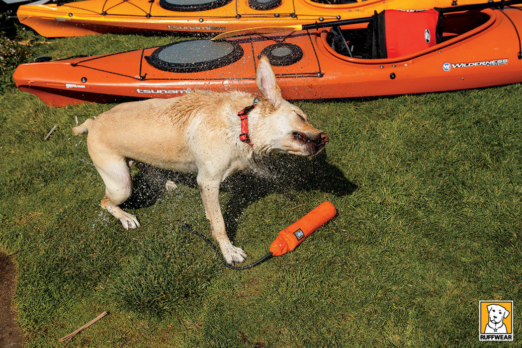 Lunker™ - Interactive Floating Dog Toy