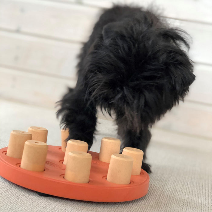 Nina Ottosson Dog Puzzle intelligent en composite pour chien