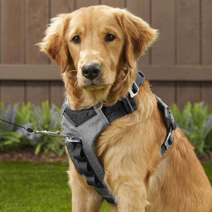 Journey Air Dog Harness