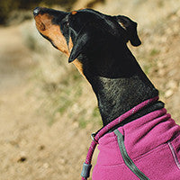 Climate Changer™ - Quick-Drying, Breathable Fleece (Purple Dusk)