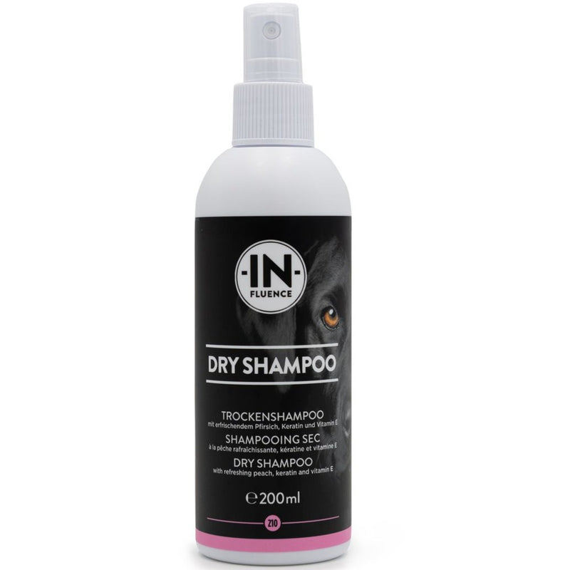 In-Fluence Dry Shampoo (200ml)