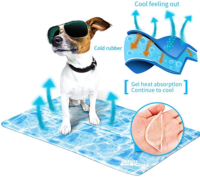 Chill Out Always Cool Dog Mat