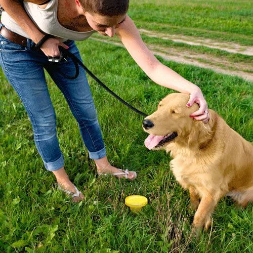 Simple Solution Pee Post® Outdoor Dog Training Aid