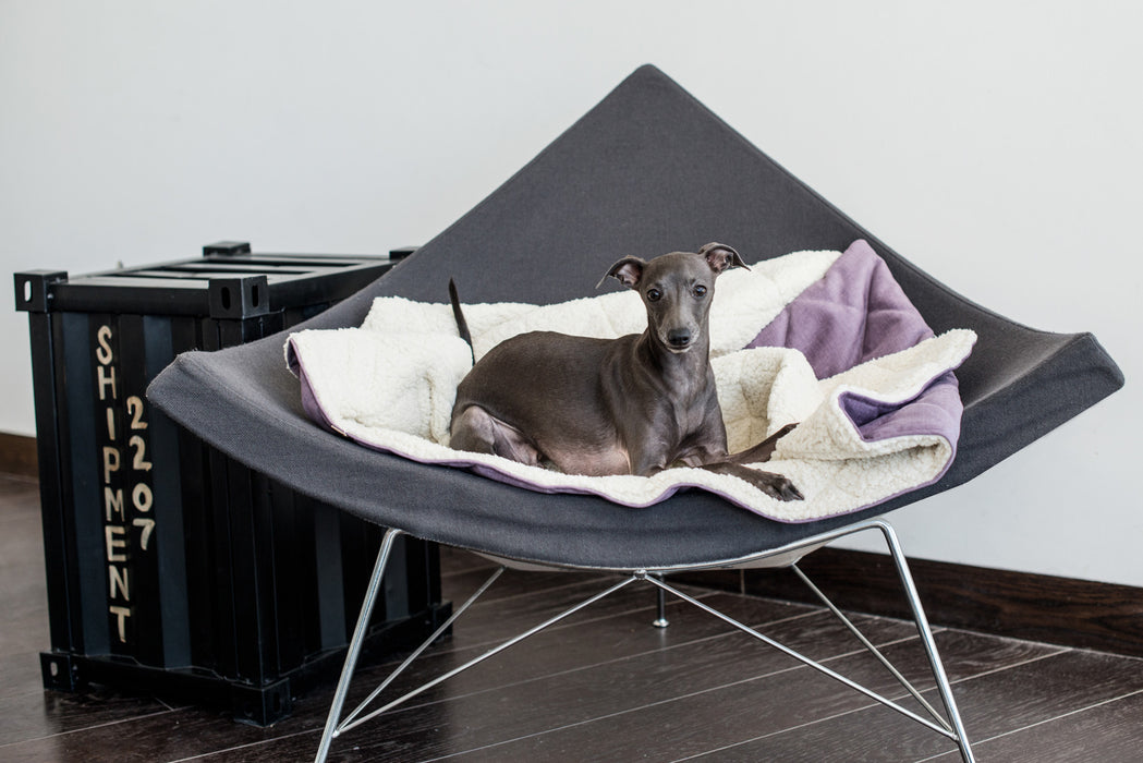 Dreamy Den Dog Bed (Lily)