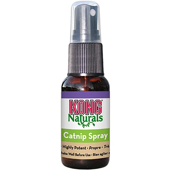 Spray à l'herbe à chat Premium Naturals (30 ml)