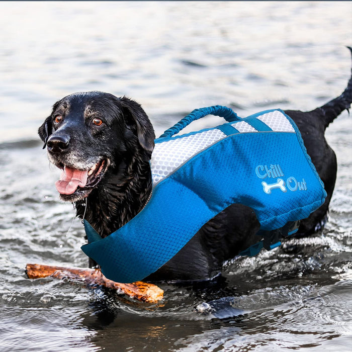 Chill Out Life jacket for Dogs