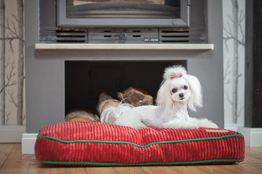 Cushion Deco Dog Bed (Ruby)