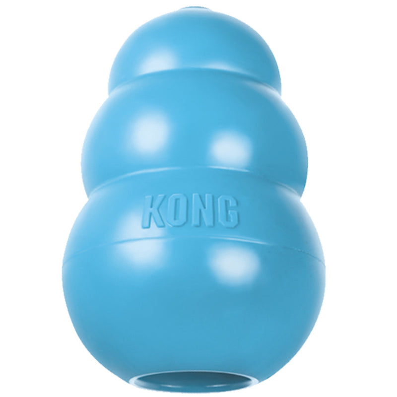 Jouet pour chiot Kong® (Bleu)