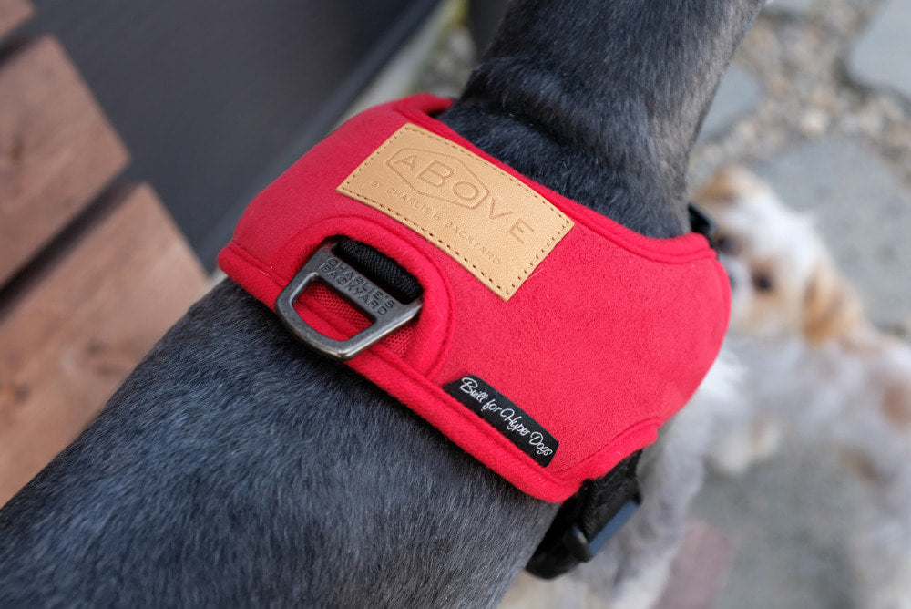 Charlie's Above Dog Harness