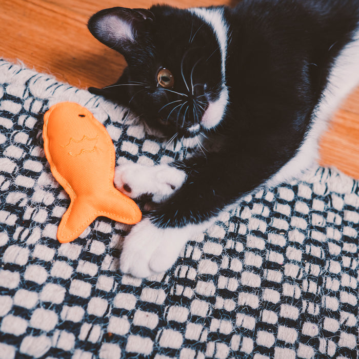 Beco Catnip Katzenspielzeug "Fisch"