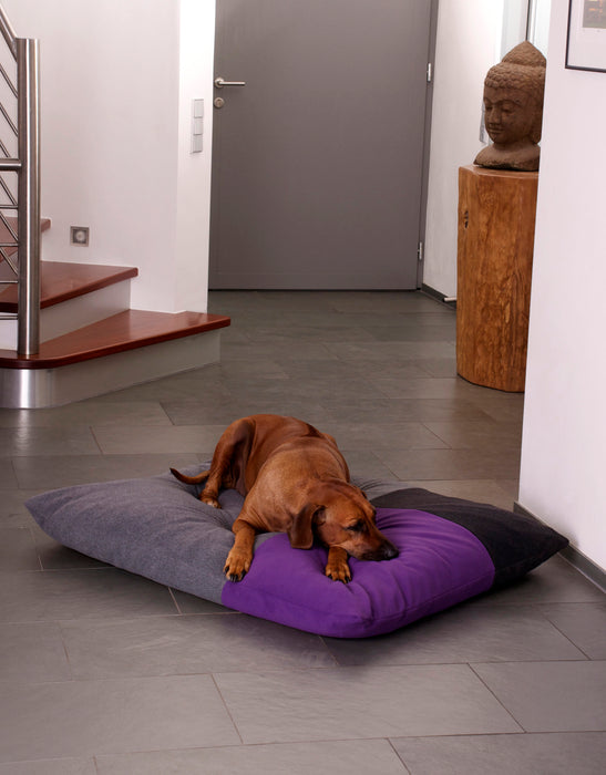 Divan Quattro Dog Bed (Grey/Graphite/Violet)