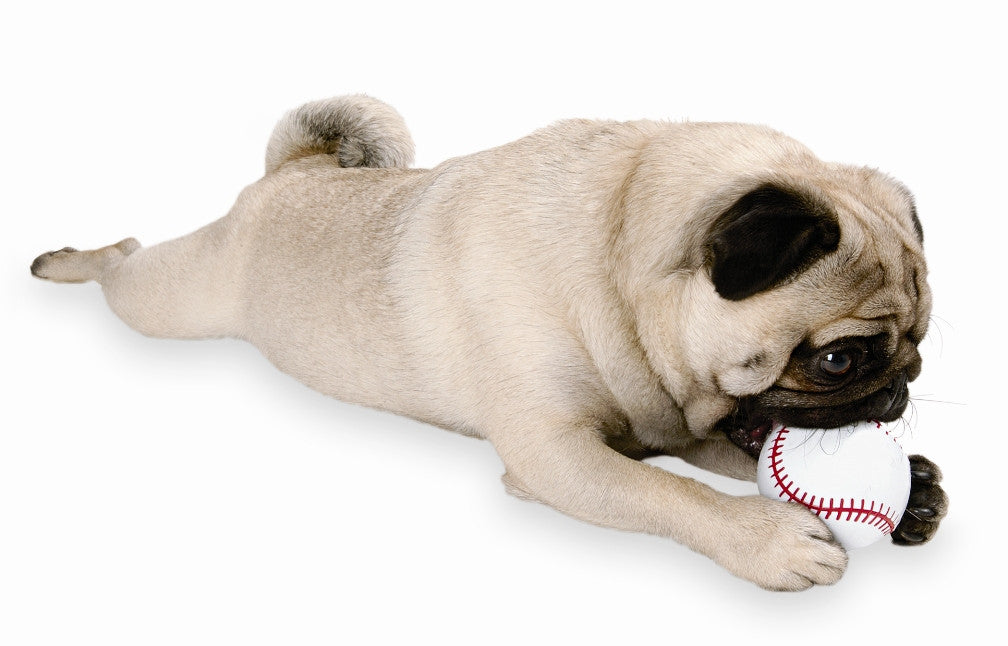 Orbee-Tuff® Sport Baseball Dog Toy