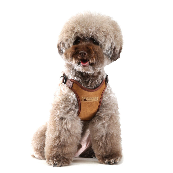 Charlie's Comfort Dog Harness
