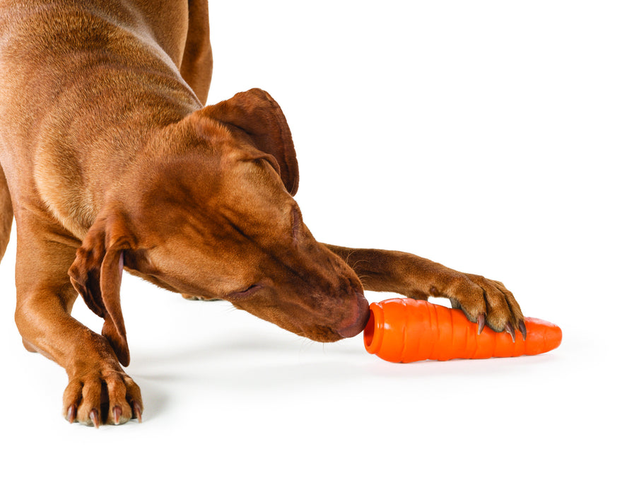 Orbee-Tuff® Carrot Dog Toy