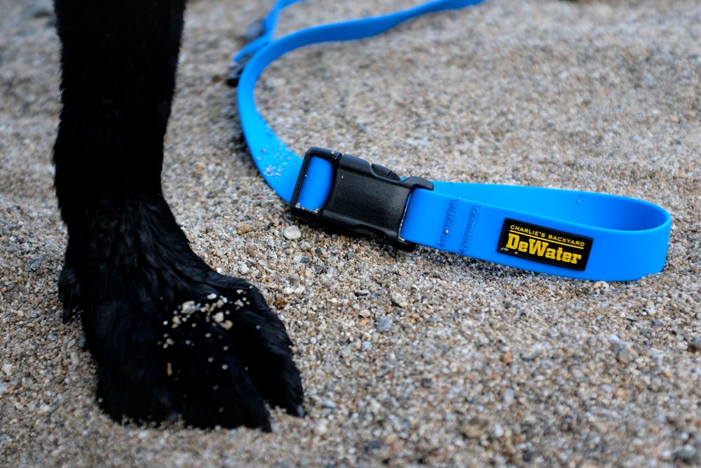 Charlie's DeWater Dog Leash (1m - 1.8m)