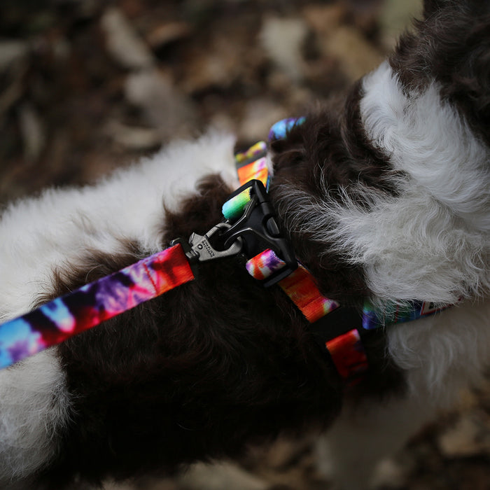 Charlie's Rover Dog Harness
