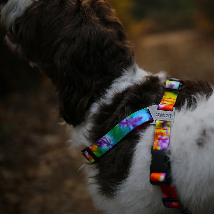 Charlie's Rover Dog Harness