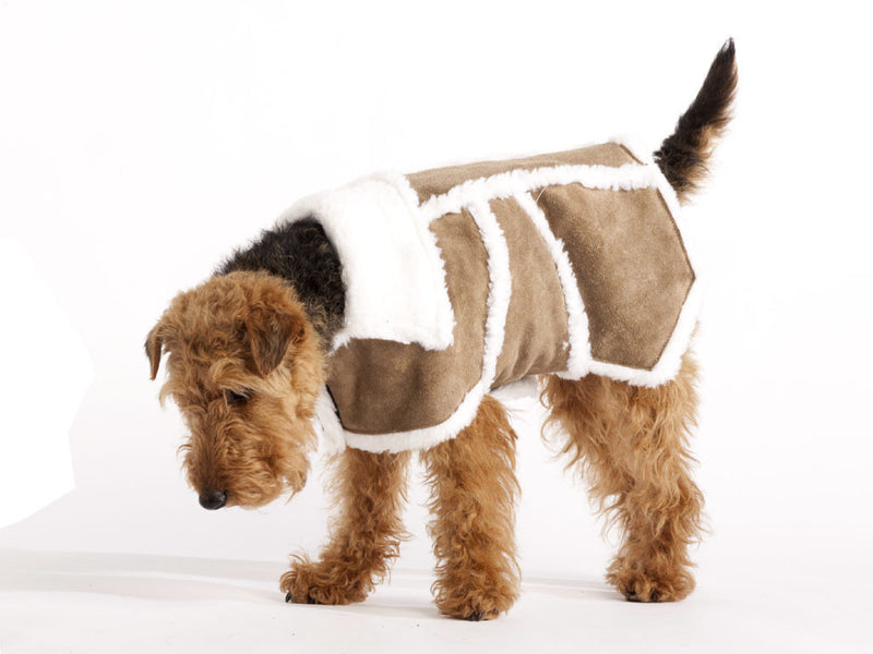 Sherpa Leather Dog Coat (Brown)
