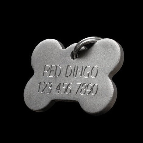Red Dingo Tag Xchanger Clip Silver- Large