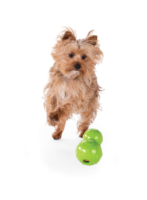 Orbee-Tuff® Diamond Double Plate Ball Hundespielzeug (Grün)