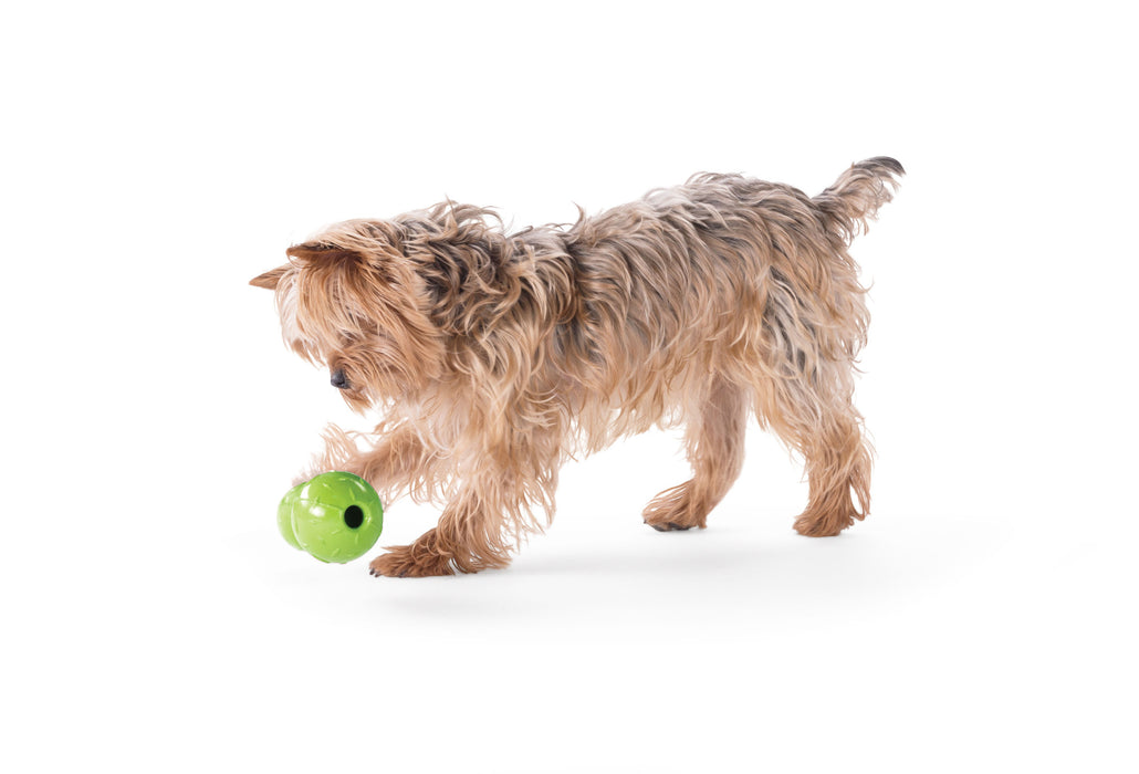 Orbee-Tuff® Diamond Double Plate Ball Hundespielzeug (Grün)