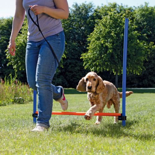Agility Hurdle — Happy Paws - Main Image