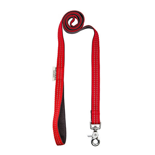 Dog harness & lead set (Red)