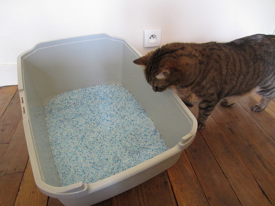 Nullodor Color Cat Litter (1.8 kg)