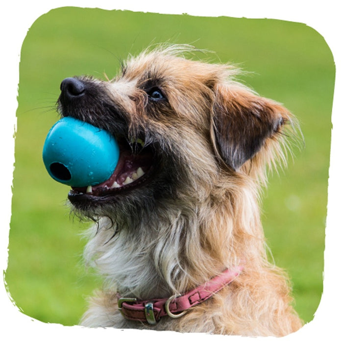 Beco Rubber Ball dog toy (Blue)