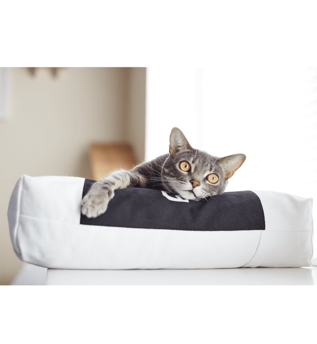 Coussin pour chat Padi