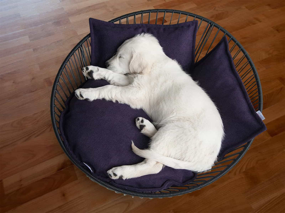 Siro Saleen Pet Bed
