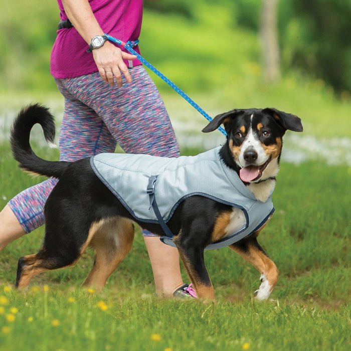Dog Core Cooling Vest