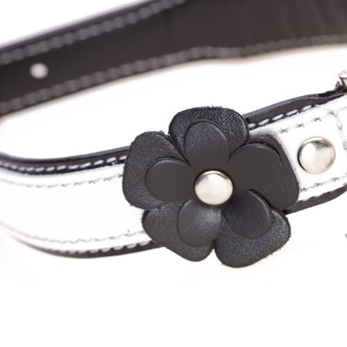 Flower Black Dog Collar