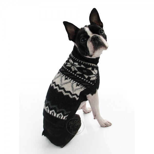 Pull pour chien en tricot (conception de Paco)