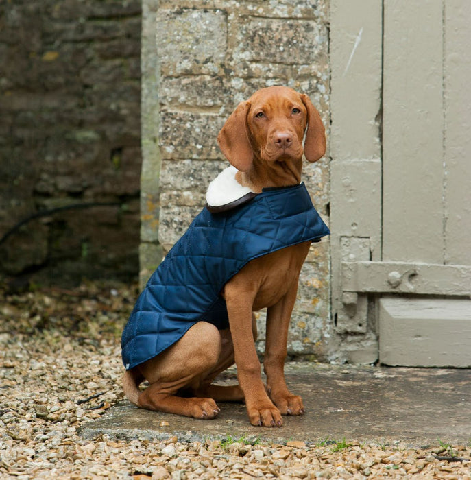 Quilted Dog Coat (Navy)